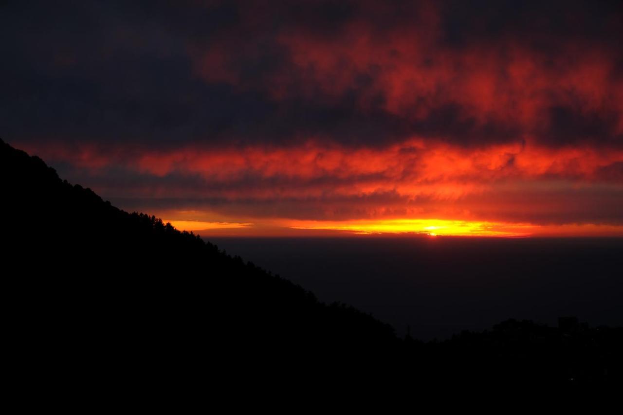 Mitra Mcleodganj McLeod Ganj Exterior foto