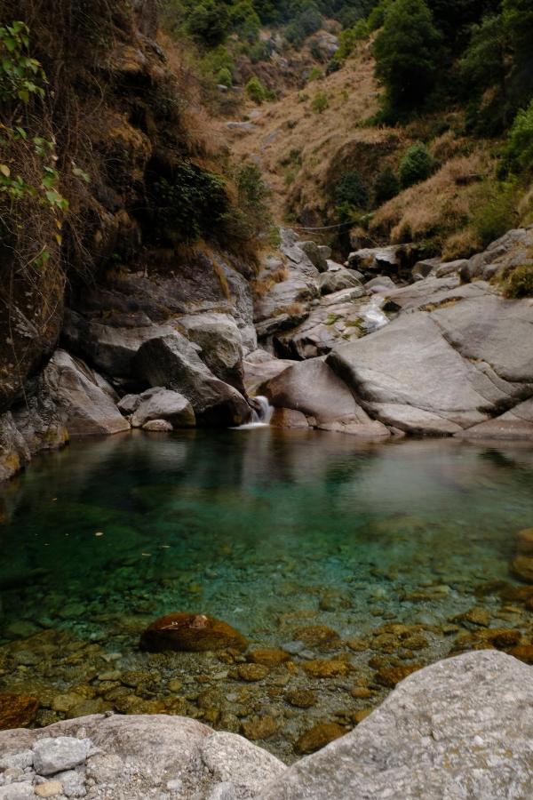 Mitra Mcleodganj McLeod Ganj Exterior foto