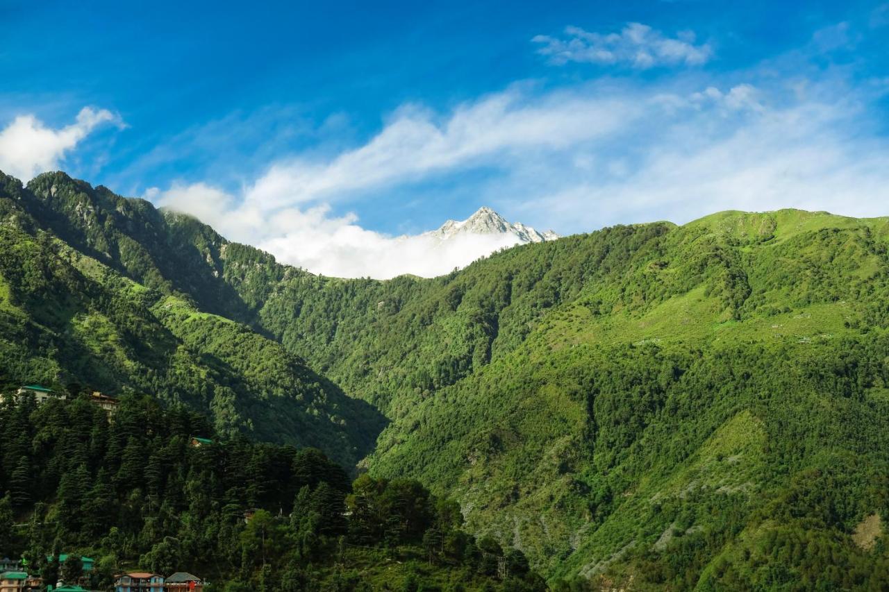 Mitra Mcleodganj McLeod Ganj Exterior foto